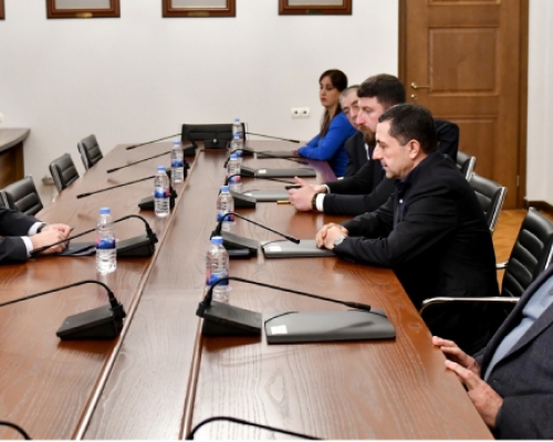 ნდობის ჯგუფის სხდომაზე შინაგან საქმეთა მინისტრის მოადგილეს მოუსმინეს