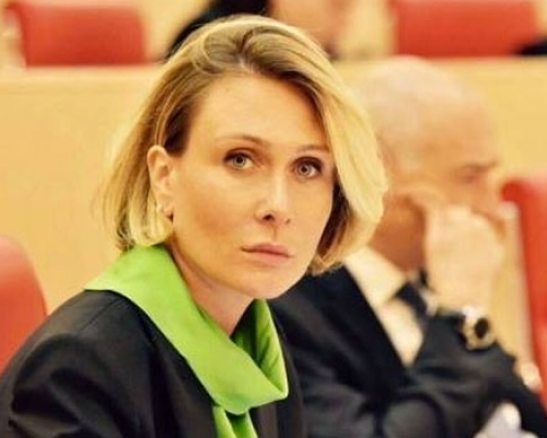 ნინო წილოსანი: “დამნაშავეს სათანადო პასუხი გაეცემა”
