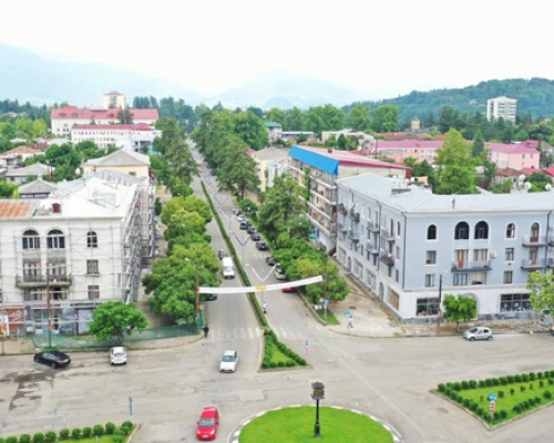 როდის დაიდგმება ოზურგეთში მთავარი საახალწლო ნაძვის ხე