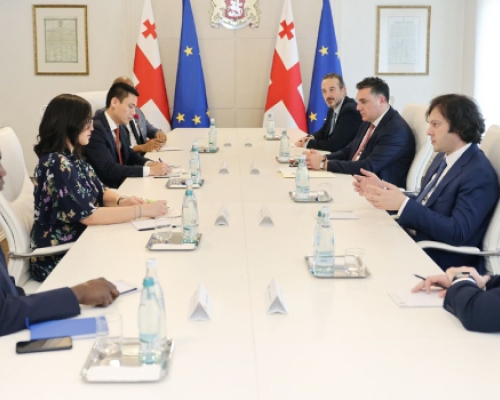 რის შესახებ ისაუბრეს პრემიერმა და გაეროში ქვეყნების მუდმივმა წარმომადგენლებმა