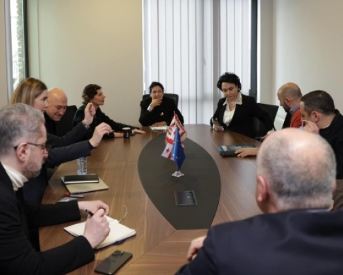 სალომე ზურაბიშვილი ოპოზიციური პარტიების წარმომადგენლებს ხვდება