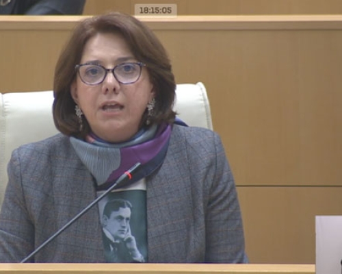 “ბოიკოტი”- სამადაშვილმა პარლამენტიდან სტუდენტებს მიმართა
