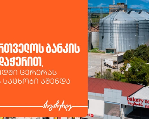 USAID-ის  პროგრამის ფარგლებში, GELi მოსწავლეებისთვის ფინანსურ განათლებაზე შეხვედრებს გამართავს – პარტნიორი საქართველოს ბანკია