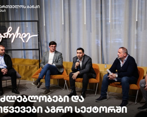 აგრო სექტორის შესაძლებლობები და გამოწვევები – საქართველოს ბანკის მხარდაჭერით ბიზნესშეხვედრა გაიმართა