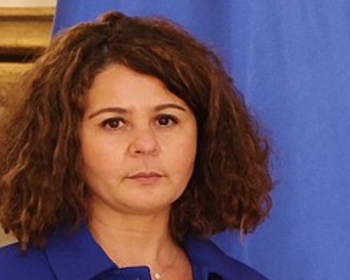 საფრანგეთის ელჩი: უვიზო მიმოსვლის შეჩერების მექანიზმი წინასწარ შეთანხმებული პროცედურაა