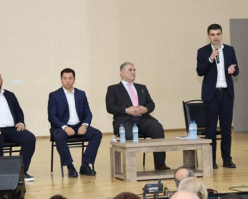 გურიის რეგიონში სამედიცინო სფეროს წარმომადგენლებთან შეხვედრა გაიმართა