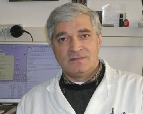 სოლომონ ნერგაძე – პროფესორი, რომელიც პავიას უნივერსიტეტში  ლექციების რამდენიმე კურსს ხელმძღვანელობს