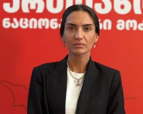 “ვერ დაგვაშინებენ, არცერთი ნაბიჯით უკან არ დავიხევთ”- სოფო ჯაფარიძე