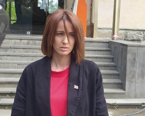 ოზურგეთის მუნიციპალიტეტის საკრებულოს წევრმა თათია ნიკოლაიშვილმა ბრიფინგი გამართა