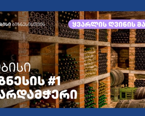 თიბისი კაპიტალმა “მაკროეკონომიკური მოლოდინები და 5 მთავარი თემა” საერთაშორისო პარტნიორებს წარუდგინა