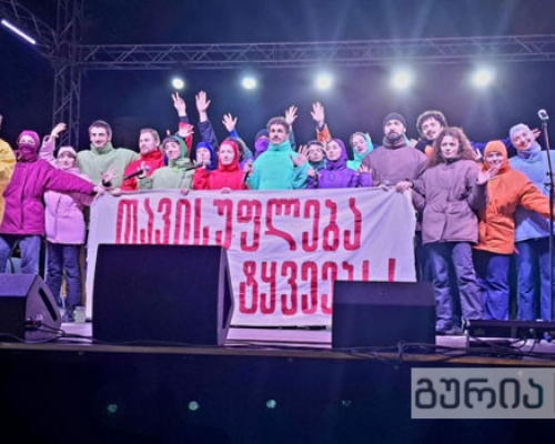 დავით დოიაშვილი ოზურგეთში: “მშვიდობა ვისწავლეთ თქვენით“