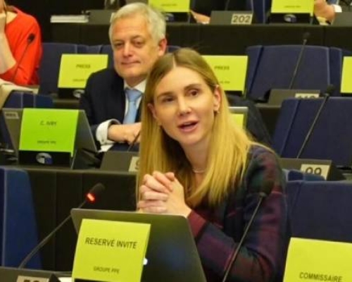 ბოკუჩავა: მინდა გთხოვოთ მხარდაჭერა შესწორების, რომელიც მოუწოდებს ზურაბიშვილს, შეიწყალოს სააკაშვილი