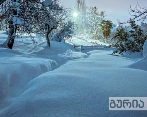 გურიაში და იმერეთში დიდთოვლობით დაზარალებულები ფინანსურ დახმარებას მიიღებენ- სოფლის განვითარების სააგენტო