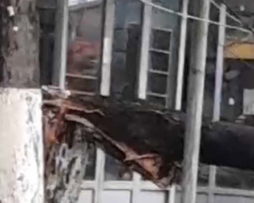 „კიდევ კარგი მსხვერპლი არ არის“ _ ძლიერი ქარი ურეკში