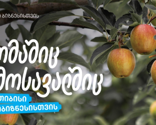 თიბისი აგრობიზნესისთვის – „ჭარებულას“ ვაშლის ბაღები ქართლში