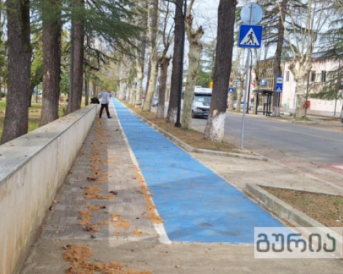 “გურიაში არ არის წინსვლა, ბათუმის ამბავი გულდასაწყვეტია”- მდგომარეობა ველობილიკებზე