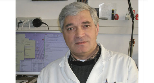 სოლომონ ნერგაძე – პროფესორი, რომელიც პავიას უნივერსიტეტში  ლექციების რამდენიმე კურსს ხელმძღვანელობს