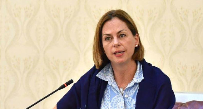 თორნტონი: დემოკრატიის ბოლო ბასტიონები ახლა მედია და სამოქალაქო საზოგადოებაა