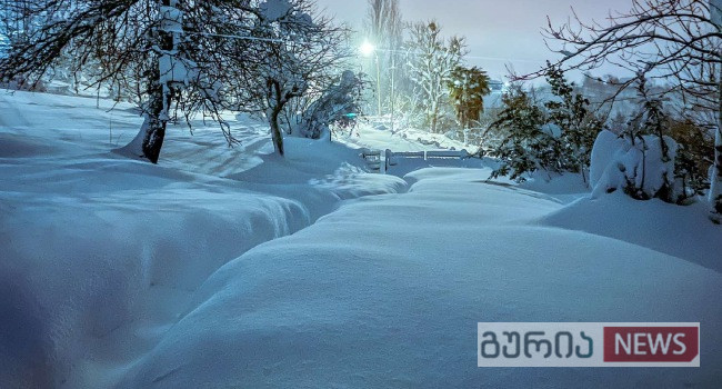 გურიაში და იმერეთში დიდთოვლობით დაზარალებულები ფინანსურ დახმარებას მიიღებენ- სოფლის განვითარების სააგენტო