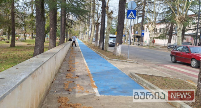 “გურიაში არ არის წინსვლა, ბათუმის ამბავი გულდასაწყვეტია”- მდგომარეობა ველობილიკებზე
