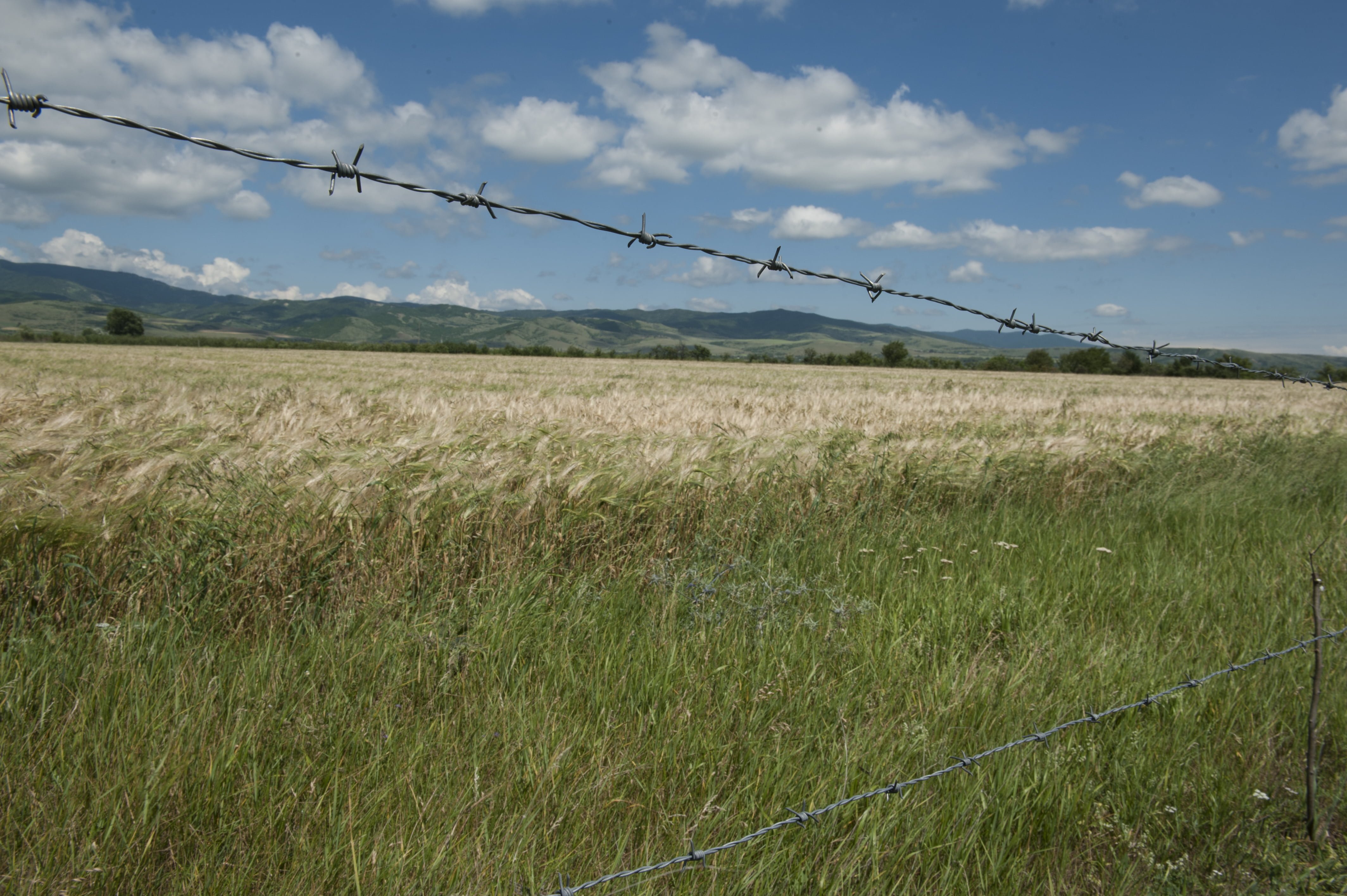 Three Georgian Citizens Illegally Detained by Russian Occupation Forces, One Released