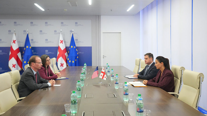 Georgian Dream Economy Minister Kvrivishvili Meets U.S. Envoy Purcell