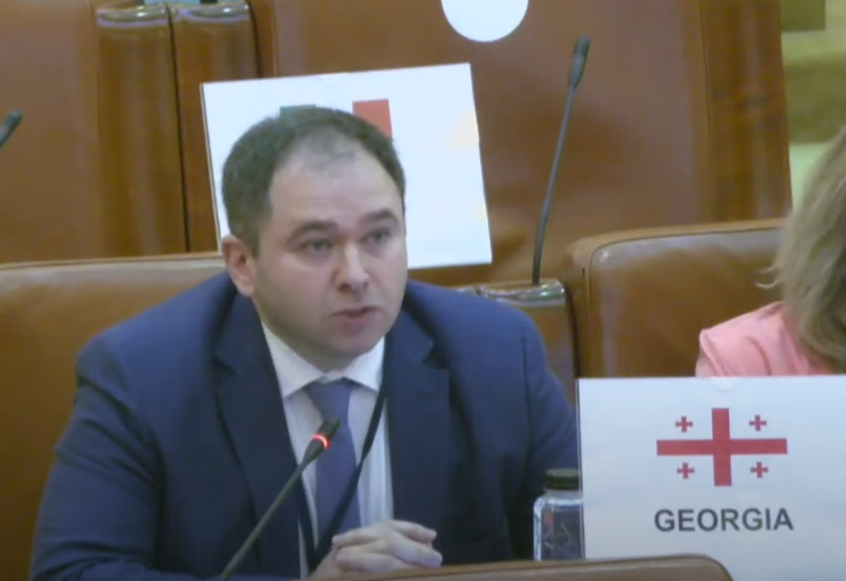 Foreign Affairs Committee Chair Questions Geneva International Talks