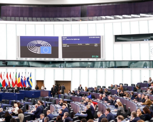 Domestic Reactions to European Parliament Resolution