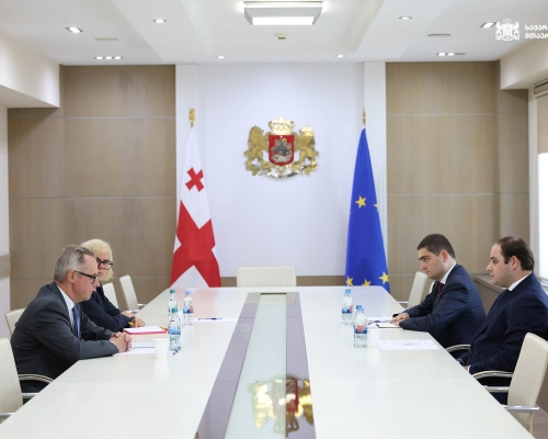 GD Government Administration Head Zhorzholiani Meets German Ambassador Fischer