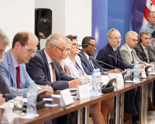 GID Co-Chairs Visit Georgia