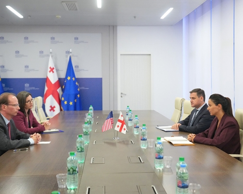 Georgian Dream Economy Minister Kvrivishvili Meets U.S. Envoy Purcell