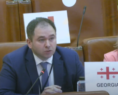 Foreign Affairs Committee Chair Questions Geneva International Talks