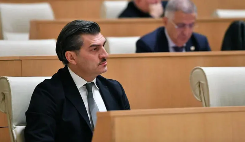 Mikheil Kavelashvili Elected as President by College of GD MPs and Local Councilors